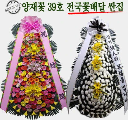 (주)꽃파는사람들 축하화환 근조화환 <전국3시간이내 화환 당일배송>“>
	                        <h3>(주)꽃파는사람들 축하화환 근조화환 <전국3시간이내 화환 당일배송></h3>
	                        <p class=