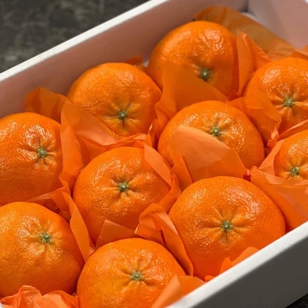 [당도보장] 레드향 제주 농장직송 한박스 가정용 선물용, 1박스, 5kg 가정용(16~30과)