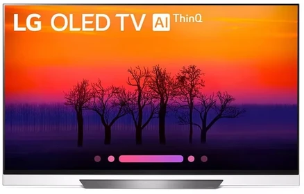 [한정판매]LG전자 4K UHD OLED TV 올레드, 방문설치, 스탠드형, OLED65E9, 139cm / 65인치