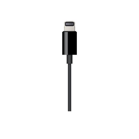 Apple 정품 Lightning to 3.5mm Audio Cable 1.2m, 블랙, 1개-추천-상품