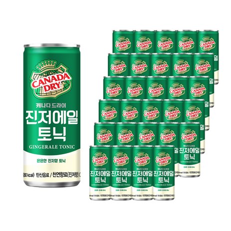 캐나다드라이 진저에일 토닉, 30개, 250ml-추천-상품