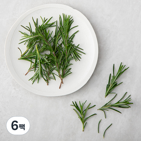 국내산 로즈마리, 10g, 6개-추천-상품