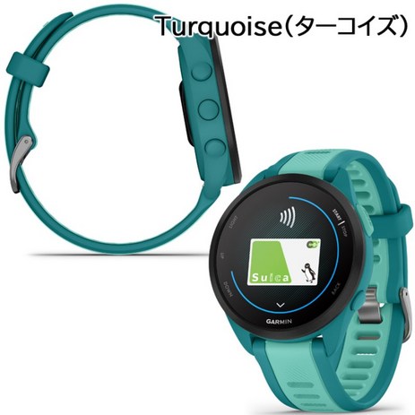 가민 GARMIN Forerunner 165 Music GPS 러닝워치, 터키(010-02863-92)-추천-상품