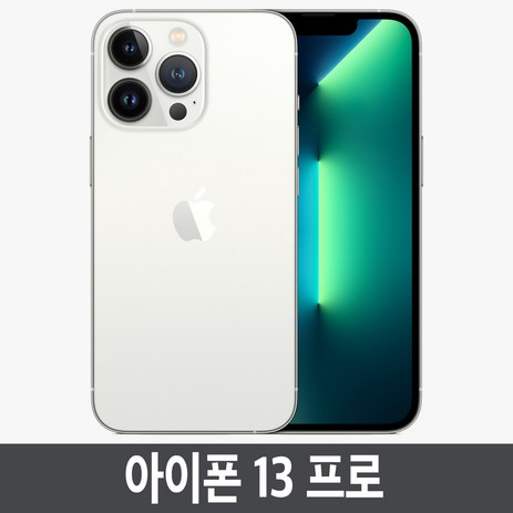 아이폰13프로 iPhone13 Pro 자급제, 256GB, 실버-추천-상품