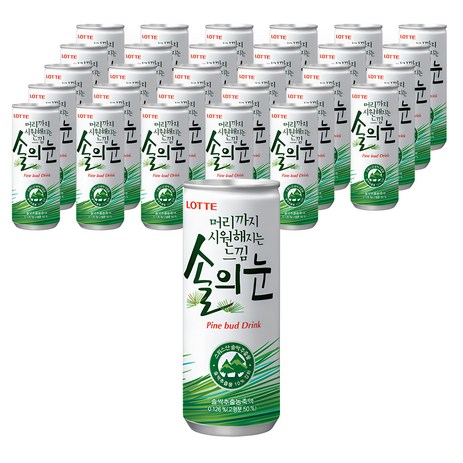 롯데칠성음료 머리까지 시원해지는 느낌 솔의눈, 240ml, 30개-추천-상품