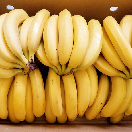 고당도 프리미엄 바나나 1박스 7kg 13kg 대용량 식사대용 아이간식 송이당 6-10개, 5송이(7kg내외), 1개-추천-상품
