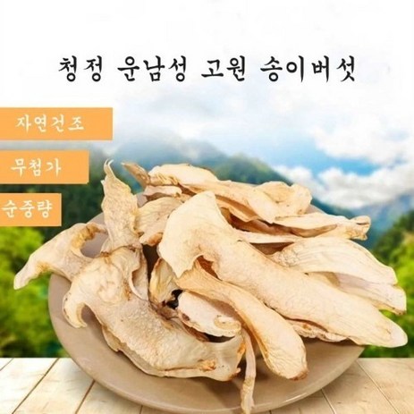 자연산 송이버섯 중국운남성 참송이 야생 건조 50g 고급식재료 약용버섯 EMS특송, 1개-추천-상품