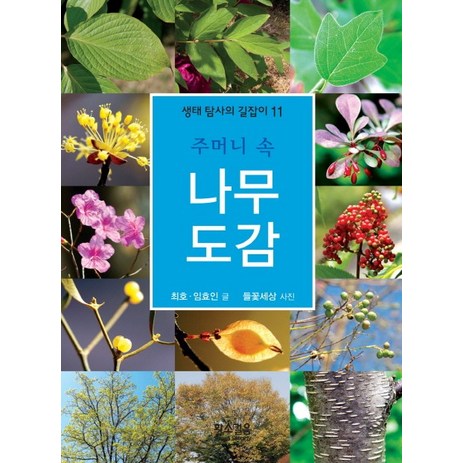 주머니 속 나무 도감, 황소걸음, 최호, 임효인-추천-상품