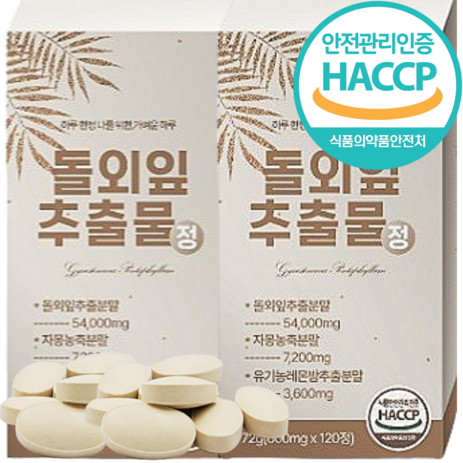 식약처인증 돌외잎 240정 8개월분 대용량 인정 HACCP 추출물 가루 추출 분말 정 캡슐 효능 추천, 2개, 120정-추천-상품