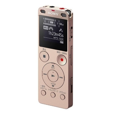 소니 스테레오 IC 레코더 ICD-UX560F, 골드-추천-상품