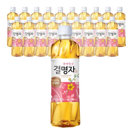 웅진 광명찾은 결명자차, 500ml, 20개-추천-상품