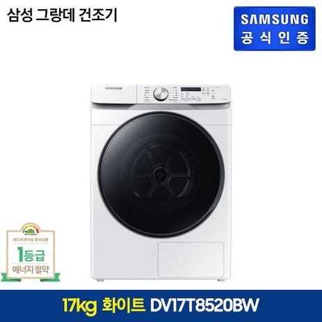 삼성 그랑데 1등급 건조기 17kg 화이트(DV17T8520BW), 단일옵션-추천-상품