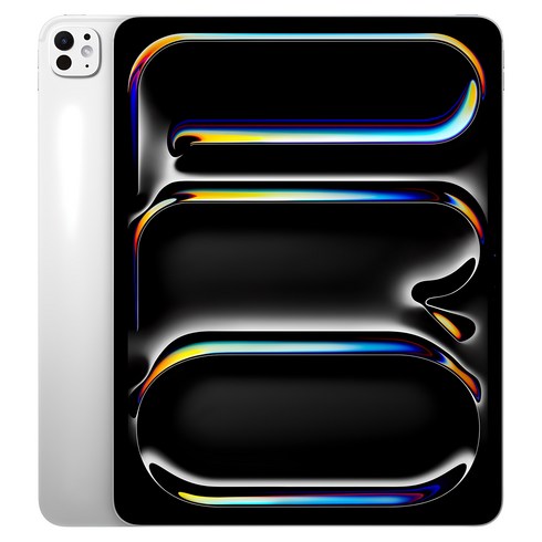 Apple 정품 2024 아이패드 프로 13 M4칩 스탠다드 글래스, 실버, 256GB, Wi-Fi