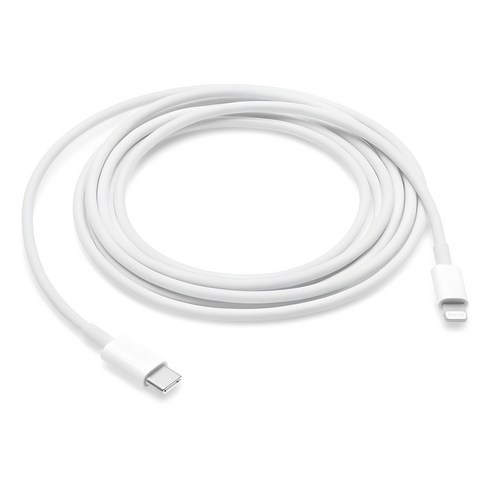 Apple 정품 Lightning-C타입 충전 케이블, 2m, 1개