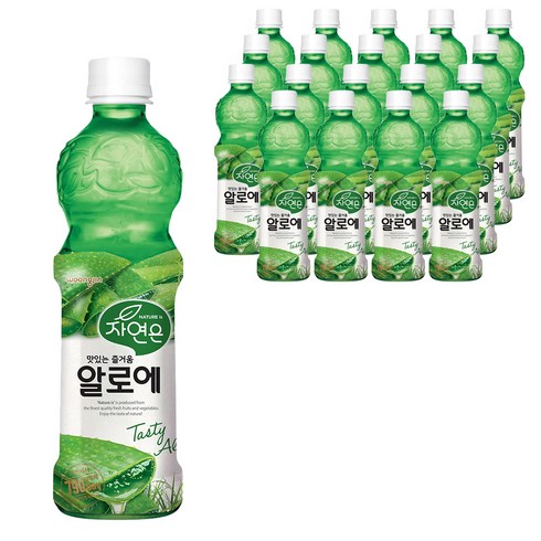 알로에 TOP01