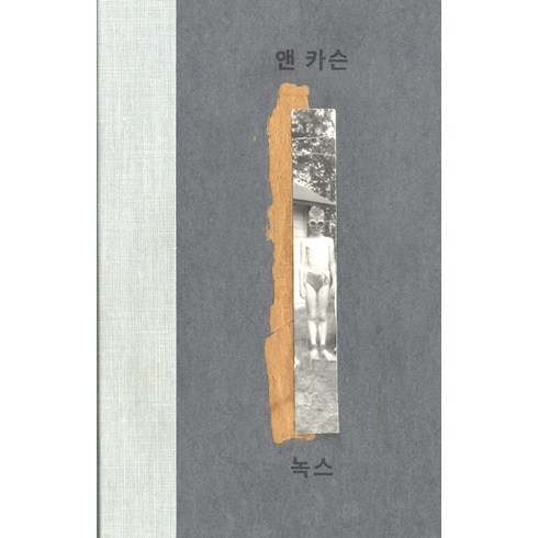 녹스, 봄날의책, 앤 카슨
