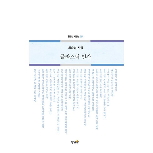 플라스틱 인간:최순섭 시집, 황금알, 최순섭