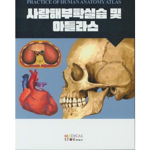 사람해부학 - [메디컬스타]사람해부학실습 및 아틀라스, 메디컬스타, 진수진