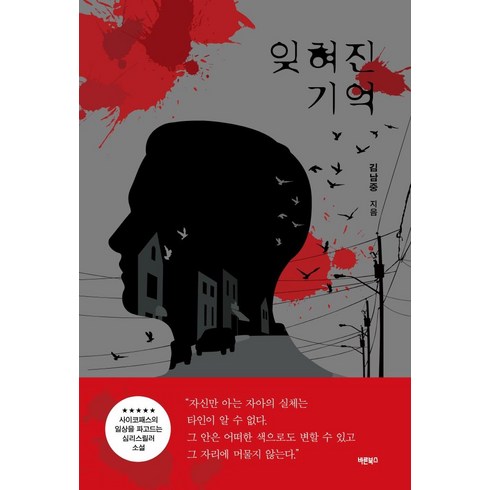 [바른북스]잊혀진 기억 : 사이코패스의 일상을 파고드는 심리스릴러 소설, 바른북스, 김남중