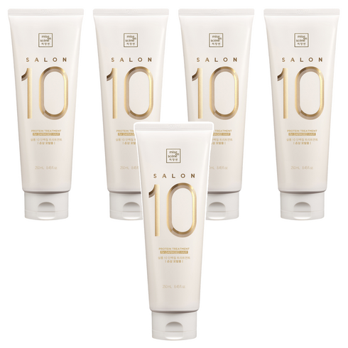 미쟝센 살롱10 단백질 트리트먼트 손상모발용, 250ml, 5개