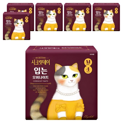 시크릿데이 입는 오버나이트, 중형, 4개입, 6개