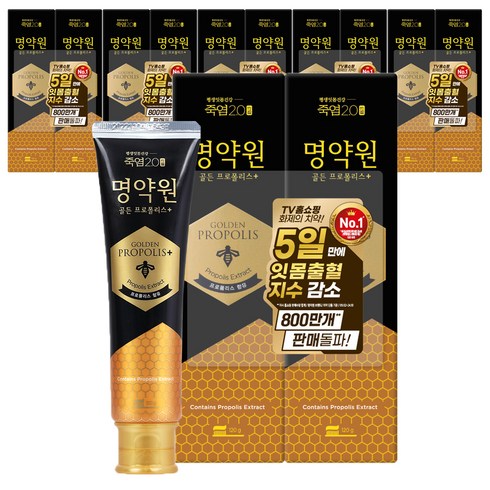 죽염 명약원 골든프로폴리스 잇몸 치약 플러스, 120g, 12개