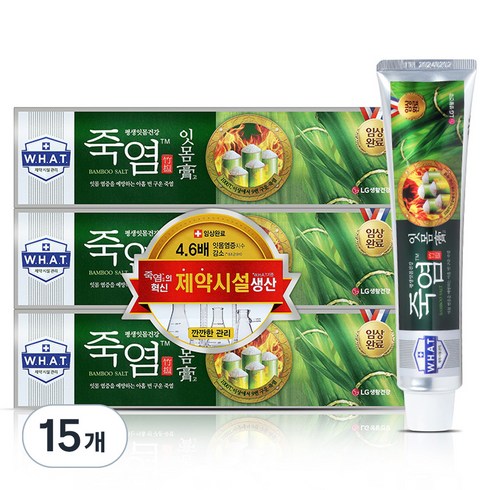 죽염 잇몸고 치약, 120g, 15개