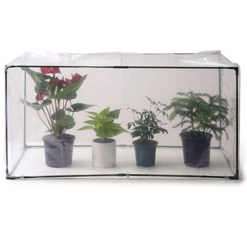 아침향기 미니그린 온실세트 대형 95 x 48 x 48 cm, 1세트