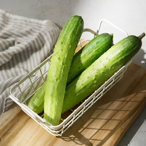 GAP 인증 국내산 오이 3입, 300g 이상, 1봉