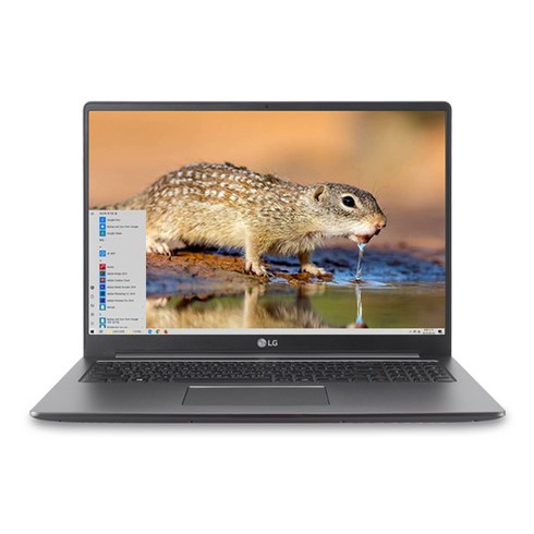 LG전자 울트라PC 17U790-GA76K (i7-8565U 43.1cm) + 무선마우스 + 키스킨 + 마우스 패드 + HDMI 케이블, NVMe 256GB, 8GB, WIN10 Home
