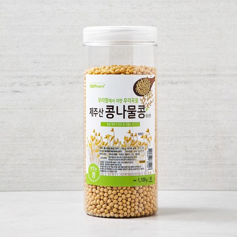 제주콩나물 재배 세트  - 대구농산 제주산 콩나물콩 풍산콩, 1.1kg, 1통