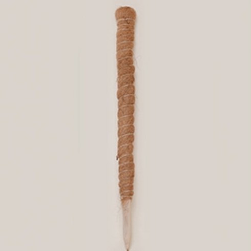 몬스테라지지대 - 필플랜트 수태봉 화분 넝쿨식물 지지대 단독형 70cm, 1개