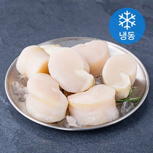 키조개관자 - 피시원 국내산 키조개 관자 (냉동), 350g(대, 6~8미), 1개