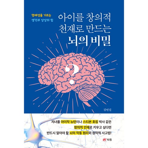 아이를 창의적 천재로 만드는 뇌의 비밀 : 영재성을 기르는 생각과 상상의 힘, 북랩, 김연길