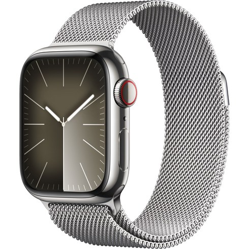 Apple 애플워치 9 GPS+Cellular, 41mm, 스테인리스, 실버 / 실버 밀레니즈 루프, Loop