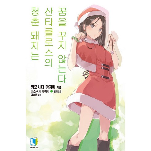 청춘의건널목 - 청춘 돼지는 산타클로스의 꿈을 꾸지 않는다 13권, 디앤씨미디어(D&C미디어), 카모시다 하지메