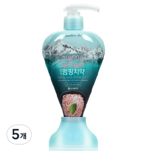 밤부솔트 히말라야 핑크솔트 담은 펌핑치약 아이스, 285g, 5개