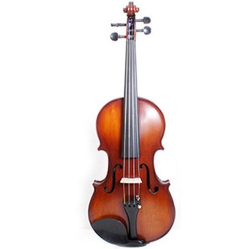 티커스텀 연습용 바리우스3 바이올린 케이스 포함 4/4+ 구성품 12종, 혼합색상