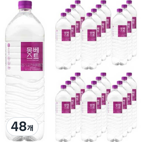 몽베스트 먹는샘물, 2L, 48개