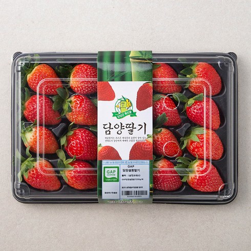 GAP 인증 담양 설향딸기, 550g, 1팩