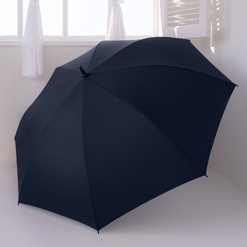 카르페디엠 골프우산 대형 75cm 058