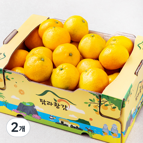 탐라황감 당도선별 10brix 감귤 로열과, 3kg, 2개
