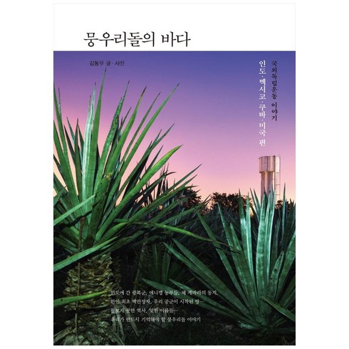 뭉우리돌의바다 - 뭉우리돌의 바다:국외독립운동 이야기-인도 멕시코 쿠바 미국 편, 수오서재, 김동우