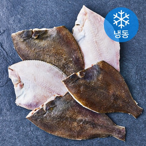 가자미 - 고고새우 두툼한 손질 두절 가자미 (냉동), 1.5kg(특대), 1개