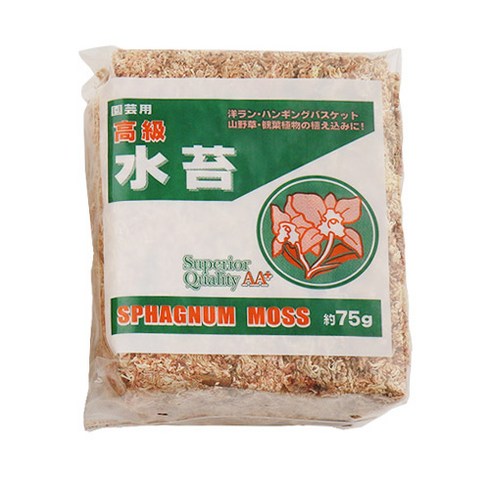 갑조네 테라리움 토피어리 수태 75g, 1개