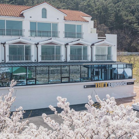 [포항시 북구] 더원유포리아풀빌라&애견펜션