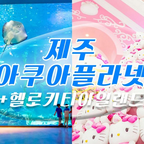 [서귀동부,서귀서부] |제주|아쿠아플라넷 제주+헬로키티아일랜드