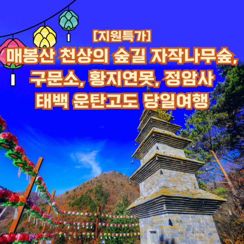 자작나무 - [태백] [지원특가] 태백 운탄고도 당일여행(매봉산 자작나무숲, 구문소, 황지연못, 정암사)