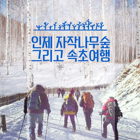 [강원도] ★2월17일 출발 확정★  인제자작나무숲+속초중앙시장+속초해수욕장