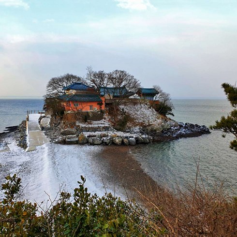 [충남] 보령/서산/태안 서해 겨울 맛여행(간월도/천북굴단지/보령해저터널) 당일여행 / 서울경기出